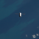 Illustration for article titled This Is The Last Journey For ESA's Cargo-Carrying Space Tugs